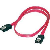 Hard drives Cable [1x SATA socket 7-pin - 1x SATA socket 7-pin] 0.50 m Red Digitus