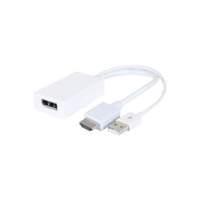 HDMI 1.4 to DisplayPort 1.2 Active Converter