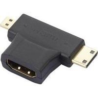 HDMI Y adapter [1x HDMI plug C mini, HDMI socket D Micro - 1x HDMI socket] Black