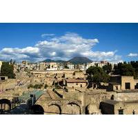 Herculaneum 2-Hour Private Guided Tour
