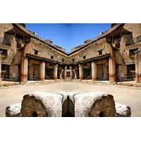 Herculaneum Private Guided Tour Led by a Local Top-rated Guide - All inclusive
