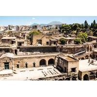 Herculaneum Ruins Private Half-Day Tour