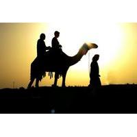 Heritage and Adventure safari wi...