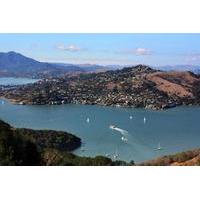 Helicopter Tour with Lunch and Afternoon in Sausalito