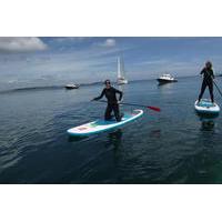 Helford River 2-hour Stand Up Paddle Boarding Tour in Falmouth