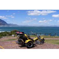 Hermanus and Whale Route Trike Tour from Cape Town