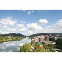 HEIDELBERG MARRIO