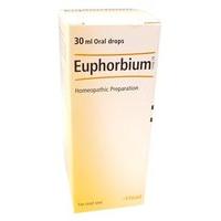 Heel Euphorbium Compositum S Oral Drops