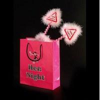 Hen Night Paper Favour Bags Pack