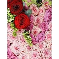 Heart of Pink and Red Roses Funeral Tribute