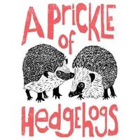hedgehogs everyday card