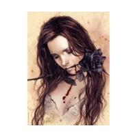Heye Victoria Frances: Dark Rose (1000 Pieces)