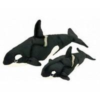 Heinrich Bauer 14064