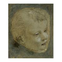 Head of a Child By Leonardo da Vinci