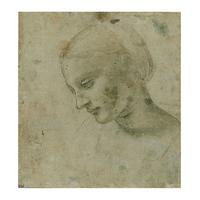 Head of a Woman By Leonardo da Vinci