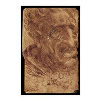 Head of an Old Man By Leonardo da Vinci