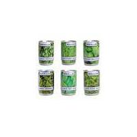 Herbs in cans, set of 6