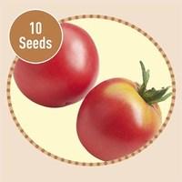 heirloom tomatoes berner rose 10 seeds