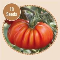 heirloom tomatoes costoluto genovese 10 seeds