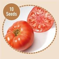 Heirloom Tomatoes Marmande 10 Seeds