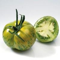 Heirloom Tomatoes Green Zebra 12 Jumbo Plants