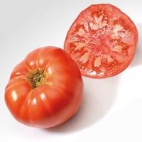 Heirloom Tomatoes Marmande 6 Jumbo Plants