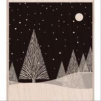 Hero Arts Mounted Rubber Stamp - Winter Moon 264906