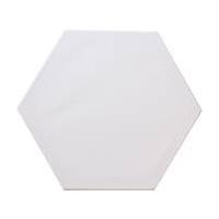 Hexagon Canvas 40cm