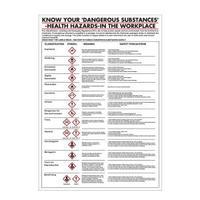 Health Hazards in The Workplace Poster 420x600mm PG23