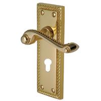 Heritage G046 Georgian Brass EURO PROFILE Lock Door Furniture