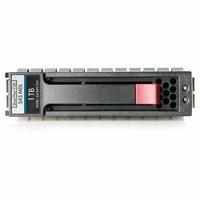 Hewlett Packard Enterprise 1TB HDD 7200RpM 3, 5 Inch