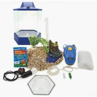 Hexaquarium 3 Fish Starter Kit