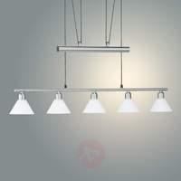 height adjustable pendant light 5 bulb