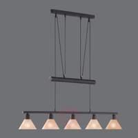 Height-adjustable hanging light Zug, 5-bulb