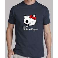 hello schrödinger
