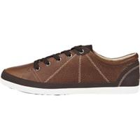 Helly Hansen Strandaberg tabaco brown/coffee bean