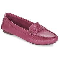 Heyraud EDWINA women\'s Loafers / Casual Shoes in purple