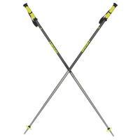 head multi ski poles