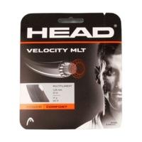 Head Velocity MLT 12m