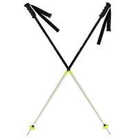 HEAD World Cup Ski Poles Mens