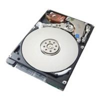 HGST Travelstar Z7K500 EA 500GB (HTE725050A7E630)