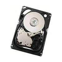 HGST UltraStar 15K300 147GB (HUS153014VLS300)