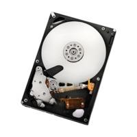 HGST Ultrastar A7K2000 SATA II 1TB