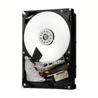 HGST Ultrastar 7K6000 SAS 5TB (HUS726050AL5210/0F22793)