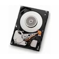 HGST Ultrastar C15K147 SAS 147GB