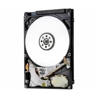 HGST Travelstar 7K1000 1TB (HTS721010A9E630)