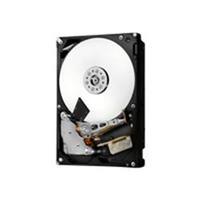 hgst hitachi 6tb hgst ultrastar 7k6000 nl 35 sas