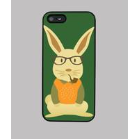 hipster rabbit