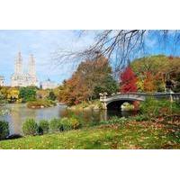Highlights of Central Park Walking Tour