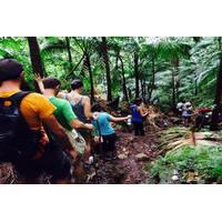 hiking mount liamuiga volcano in st kitts